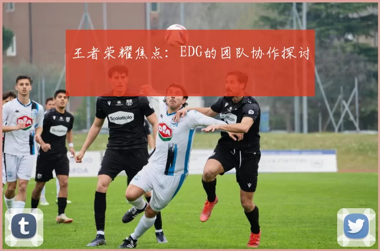 王者荣耀焦点：EDG的团队协作探讨