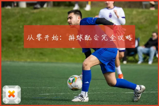 从零开始：排球配合完全攻略