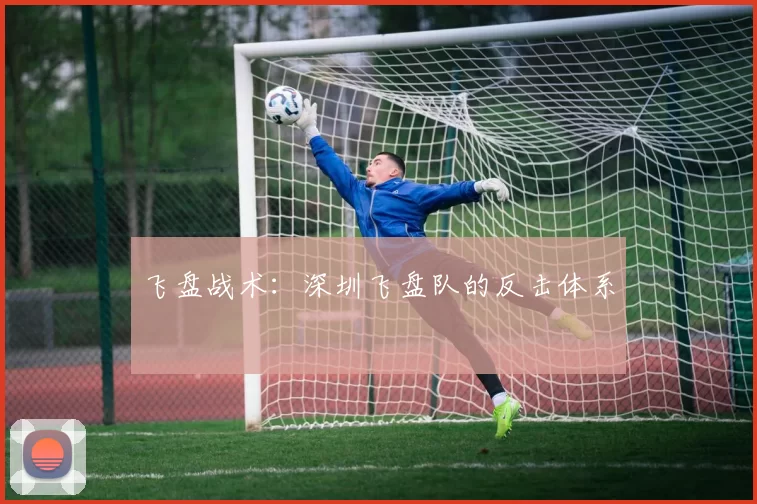 飞盘战术：深圳飞盘队的反击体系