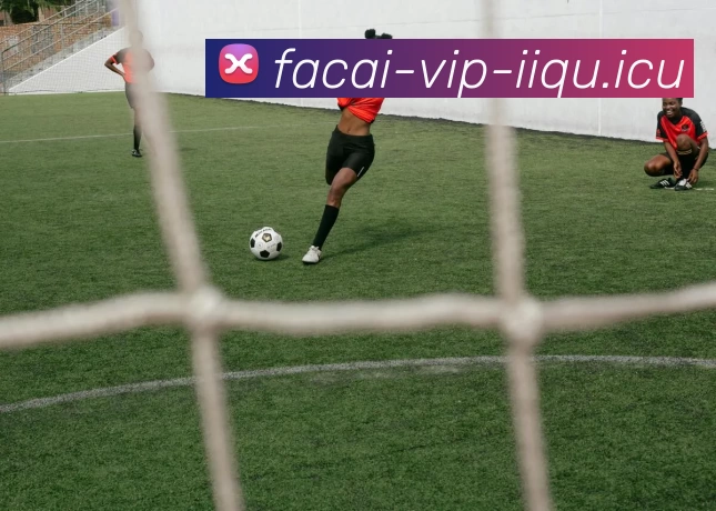 数据防护可视化